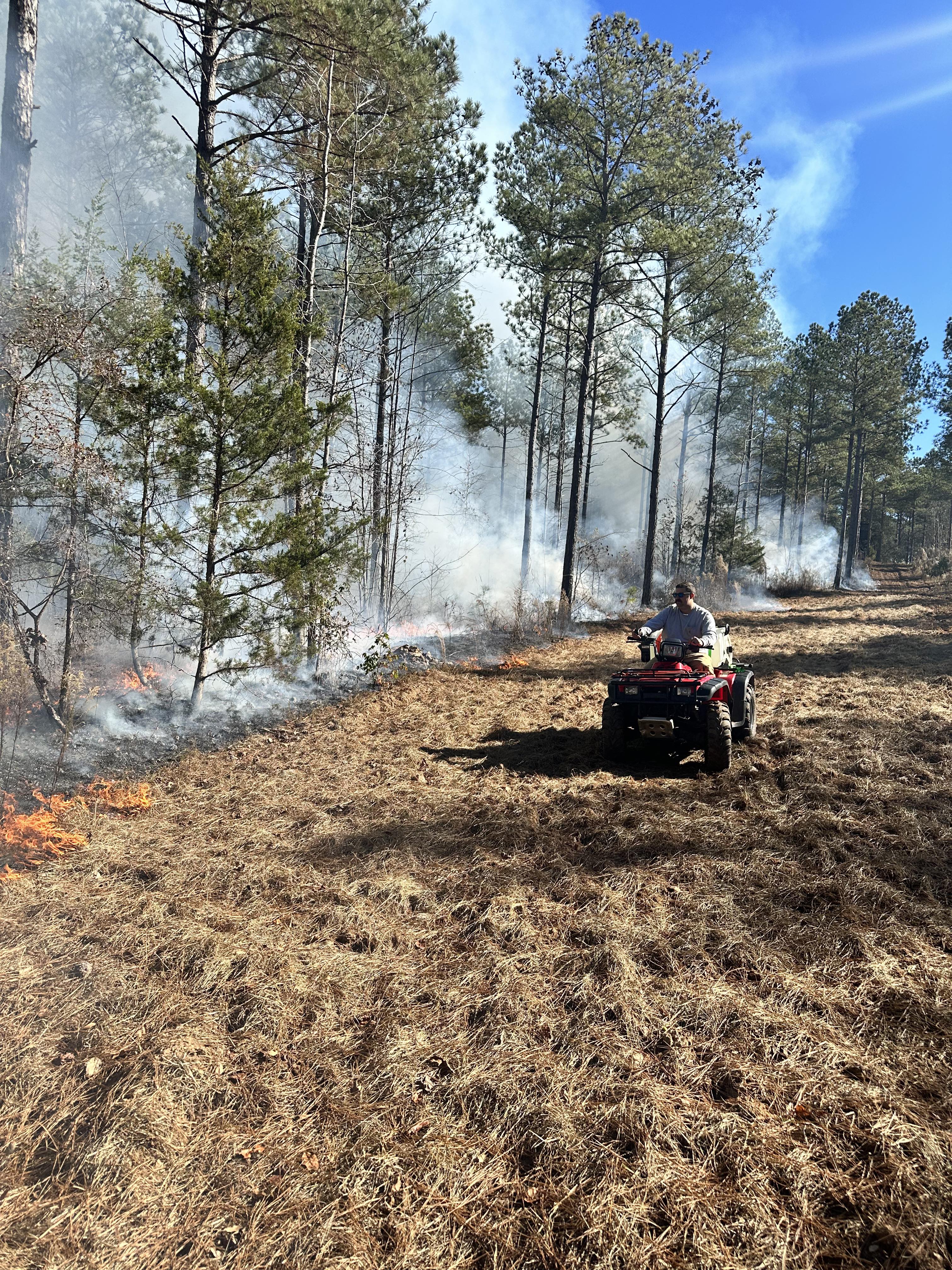 Forested, grassy area with a person on an ATV driving through a fire at the edge of the trees.