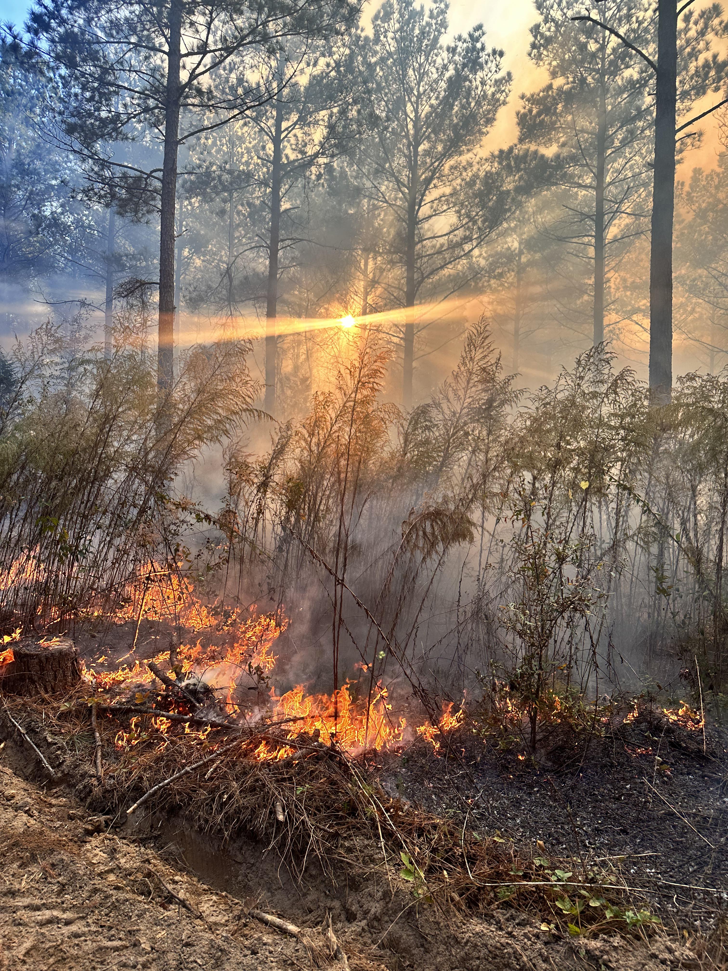 'A tall, billowy plume of white smoke emanates from ground up into a blue sky.'