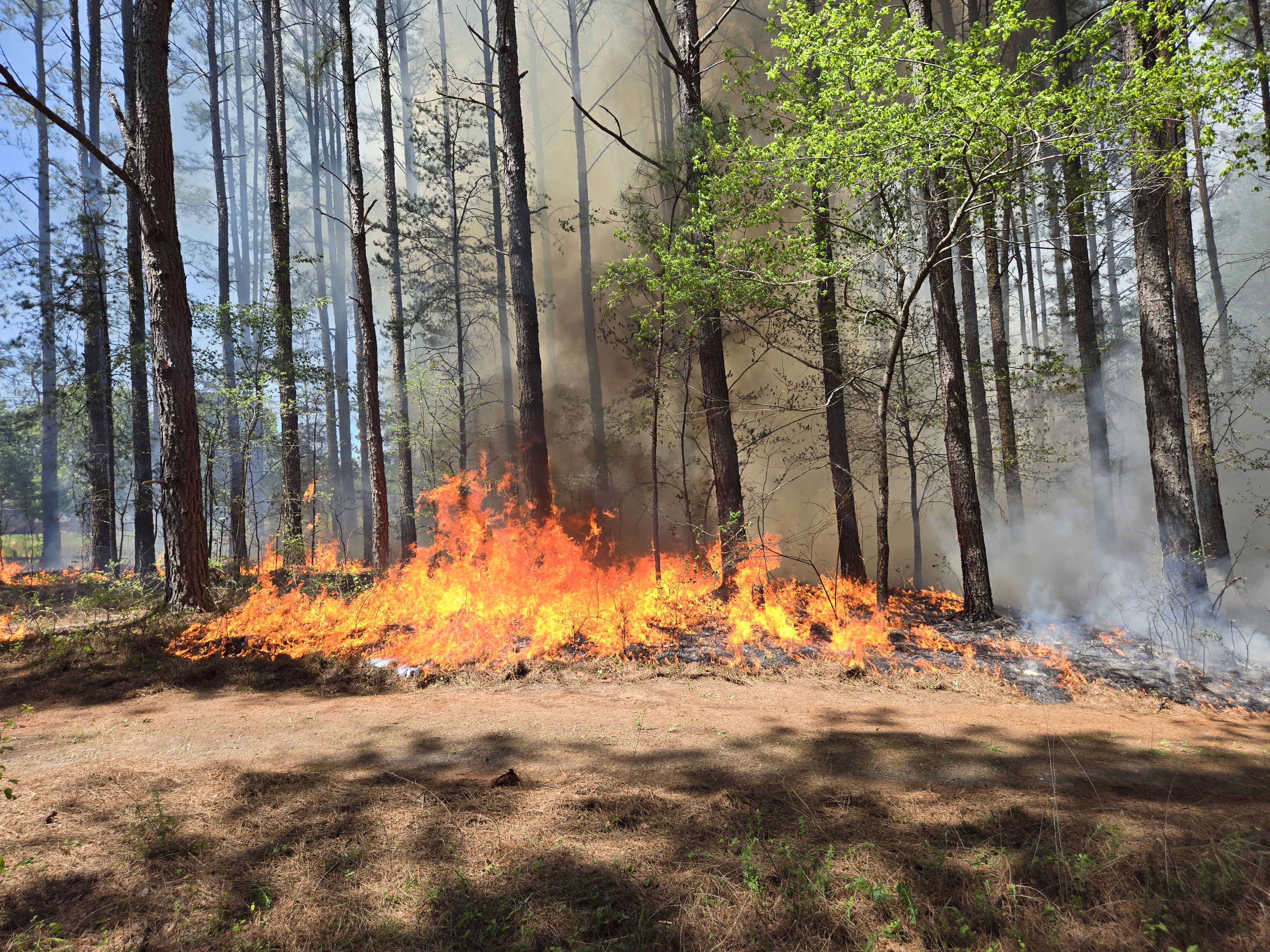 'A tall, billowy plume of white smoke emanates from ground up into a blue sky.'