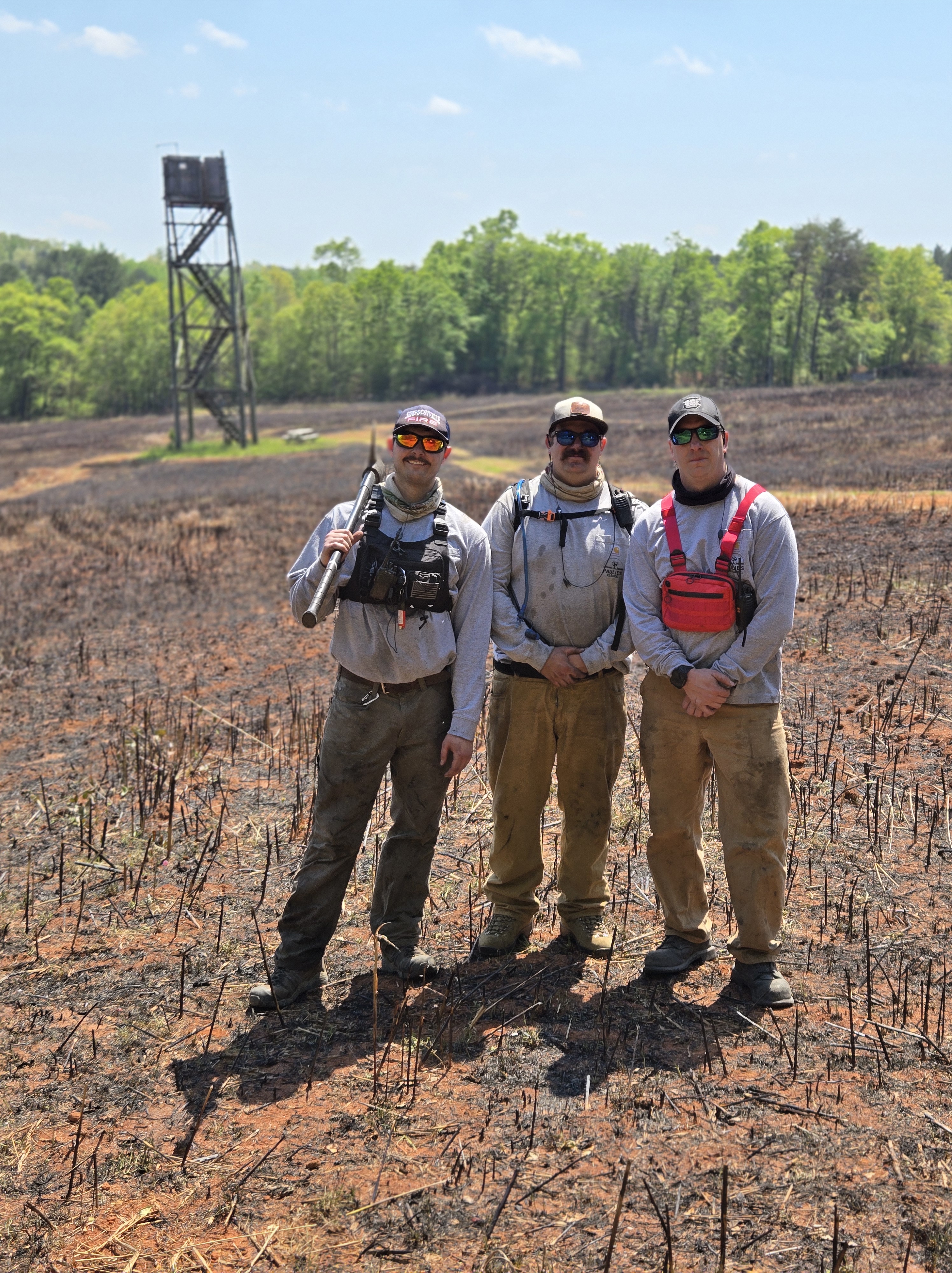 Three accompaniments of an outdoor fire. The pieces of wood appear part-cylinder in cross-section and are scored in lines ...