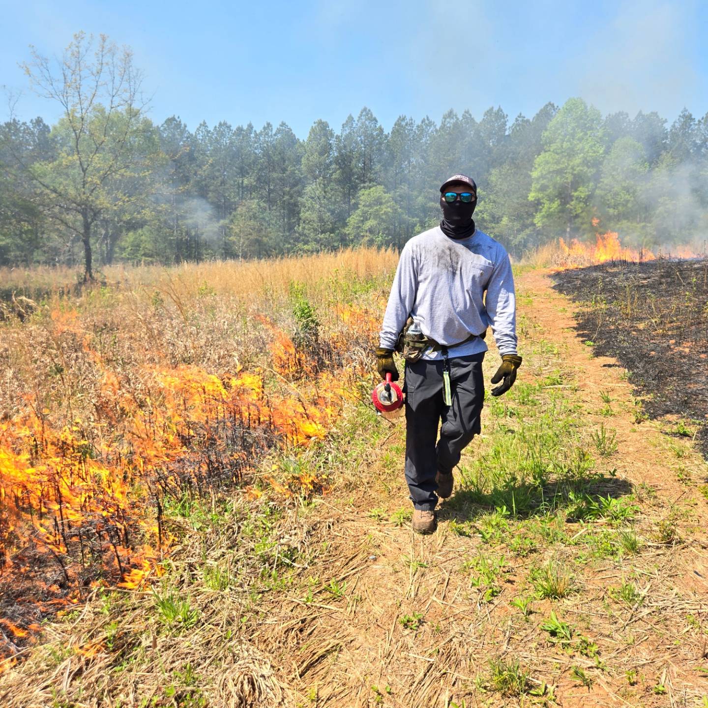 Three accompaniments of an outdoor fire. The pieces of wood appear part-cylinder in cross-section and are scored in lines ...